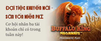 S6667 Casino Đỉnh Cao